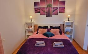 Skitnica House Sobe